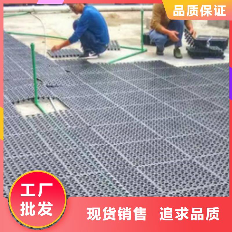 排水板_排水板廠家