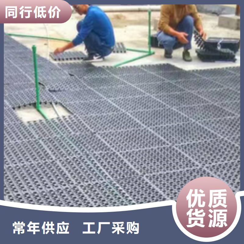 排水板可隨時發貨同城公司