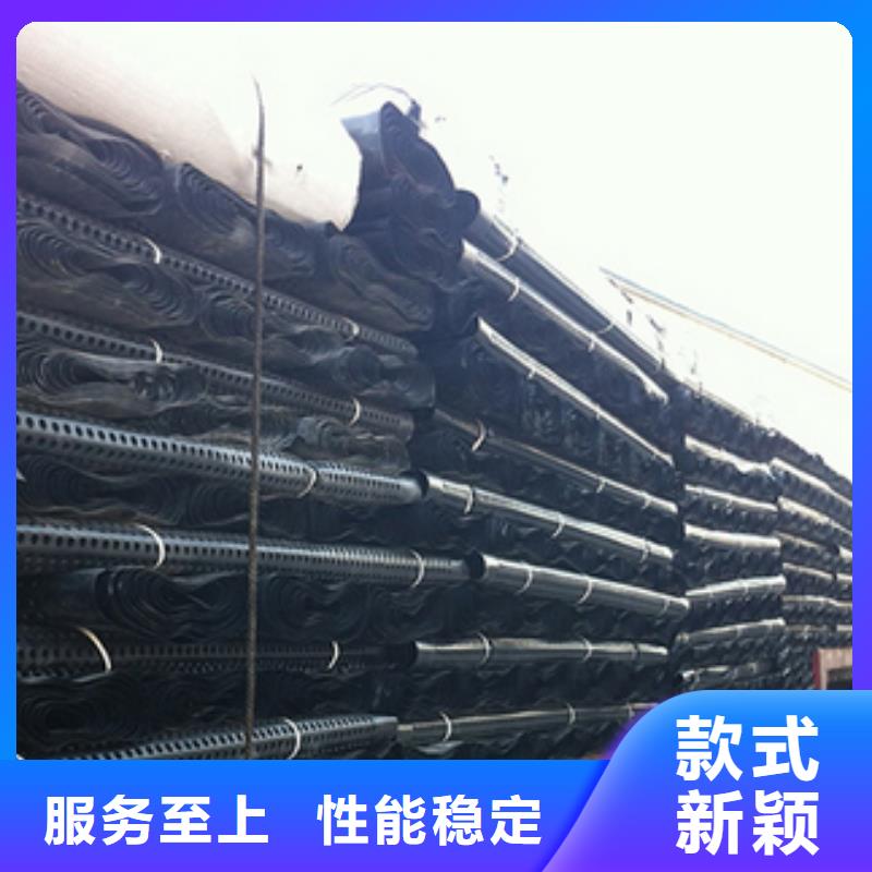 優(yōu)質(zhì)排水板的當?shù)貜S家