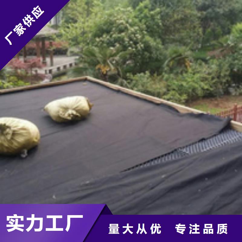 排水板大型廠家加工定制