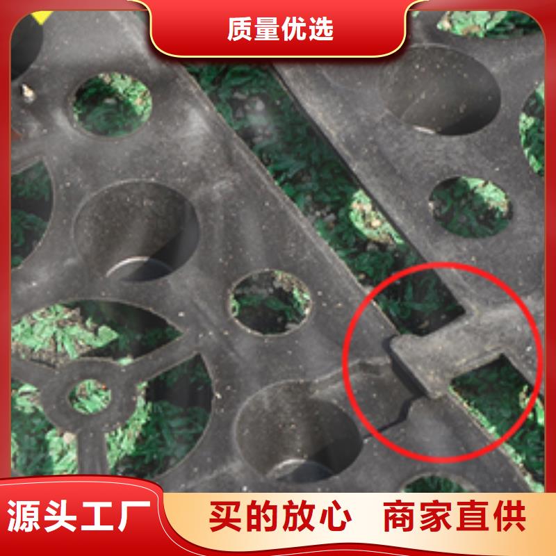 排水板質量與價格同在