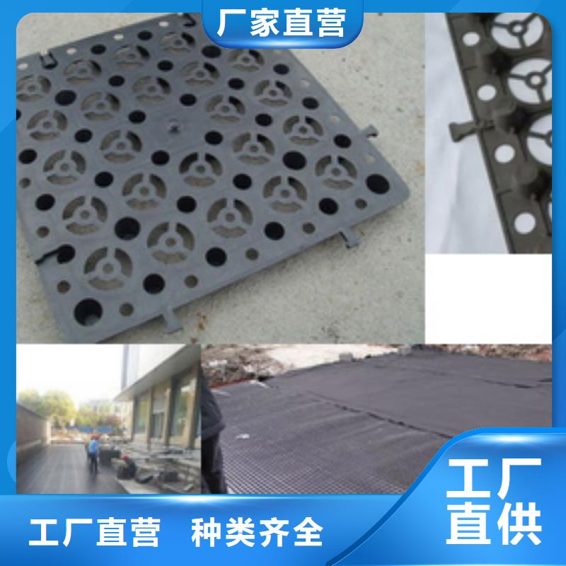 排水板廠家直售