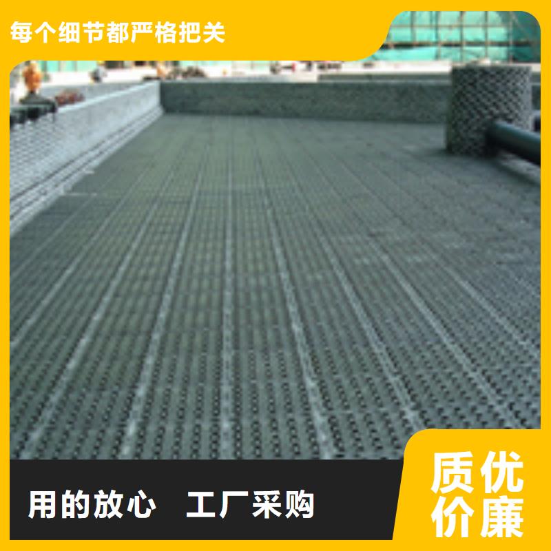 排水板工廠-廠家