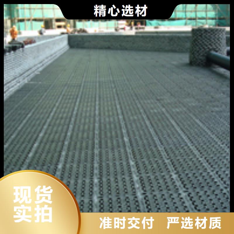 排水板免費定制源廠直接供貨