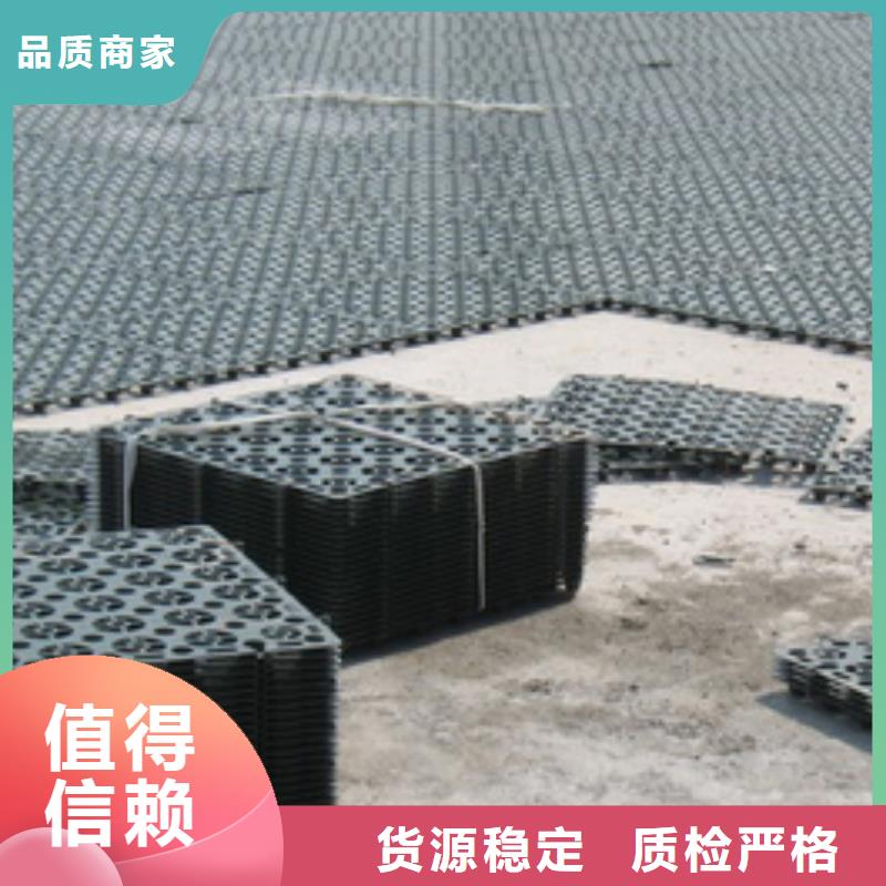 排水板廠家及時(shí)發(fā)貨