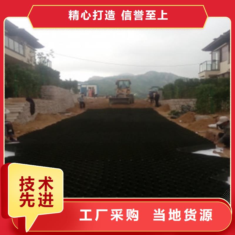 土工格室源頭直供廠家