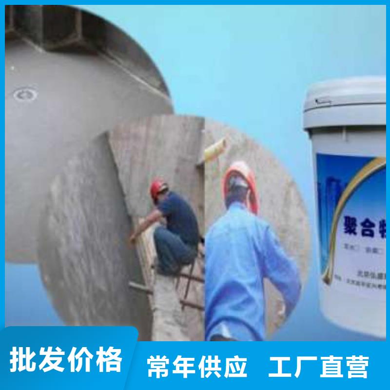 丙乳砂漿發貨快速