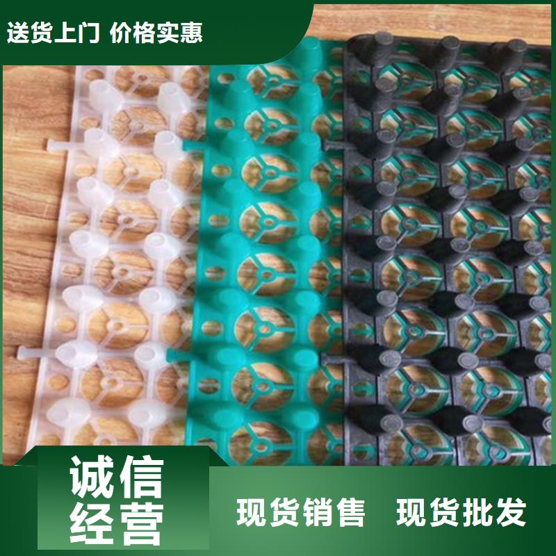 排水板保質保量優選廠家