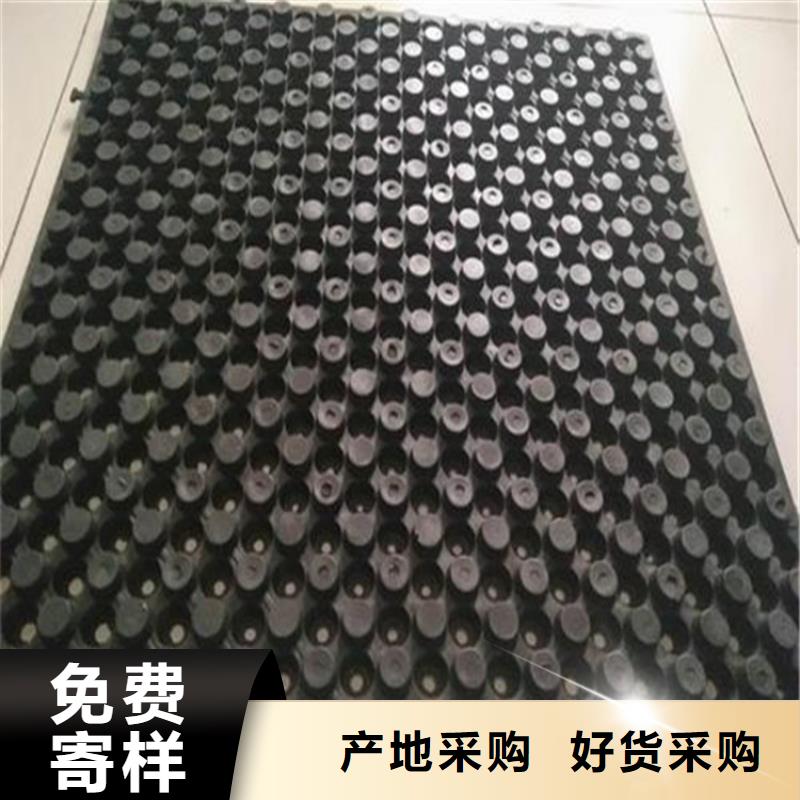 能做排水板的廠家