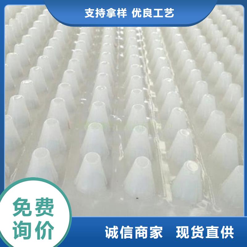 批發(fā)排水板_誠信企業(yè)