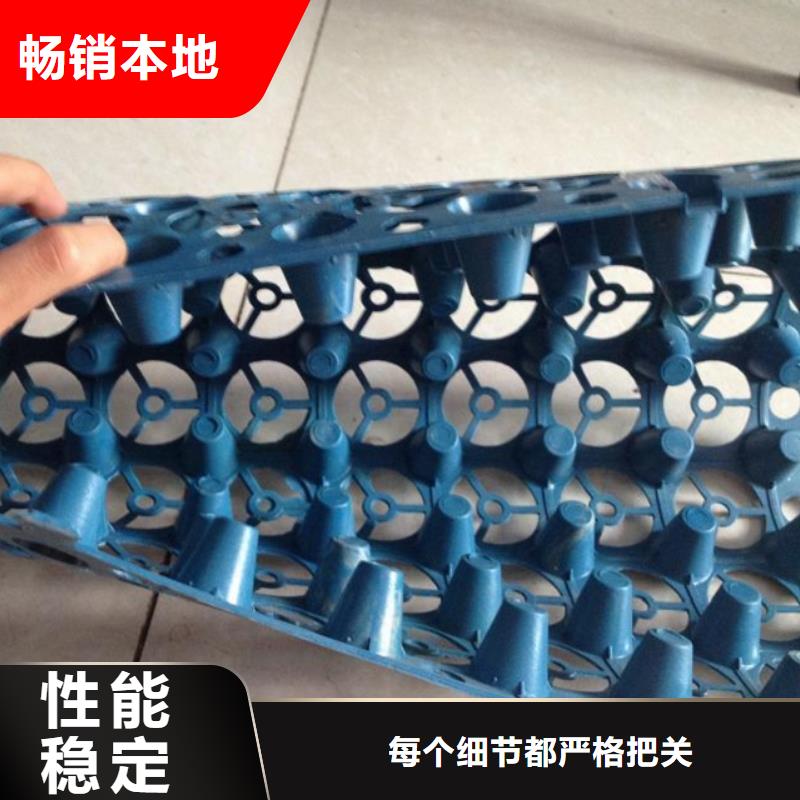 規格齊全的排水板基地