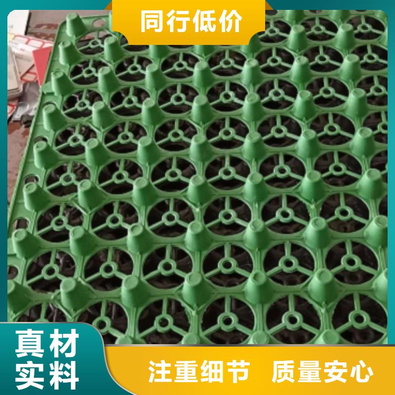 供應批發排水板-保量