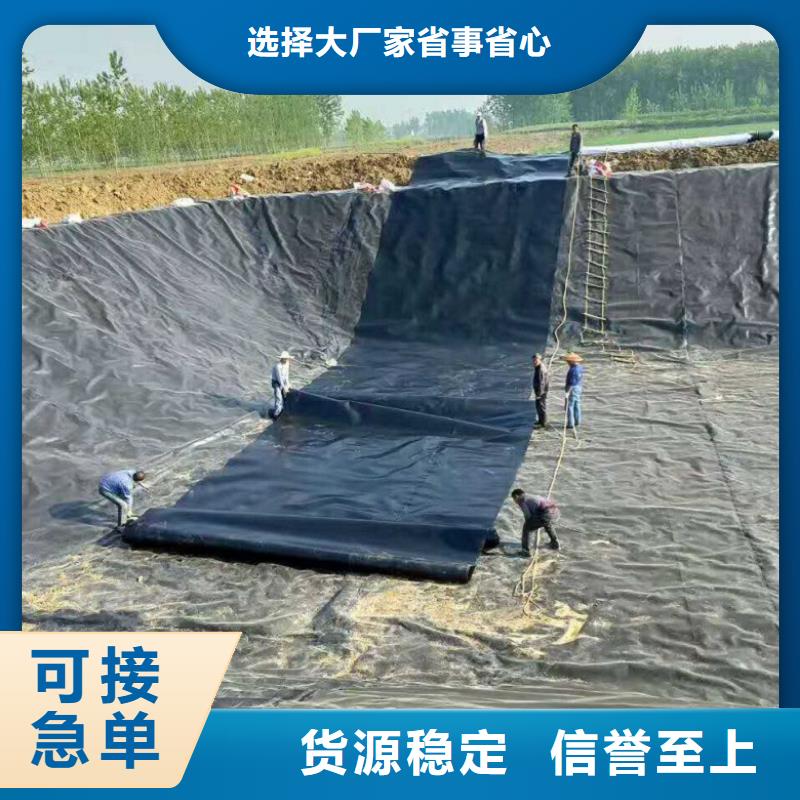 質量可靠的排水板廠家當地貨源