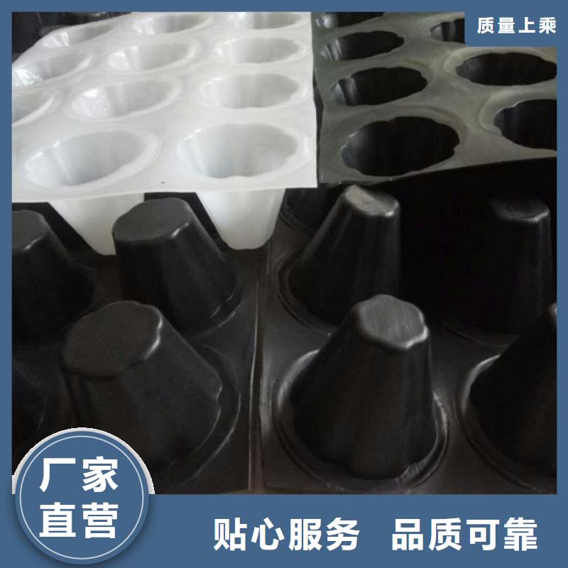 實(shí)力雄厚的排水板廠家品類(lèi)齊全