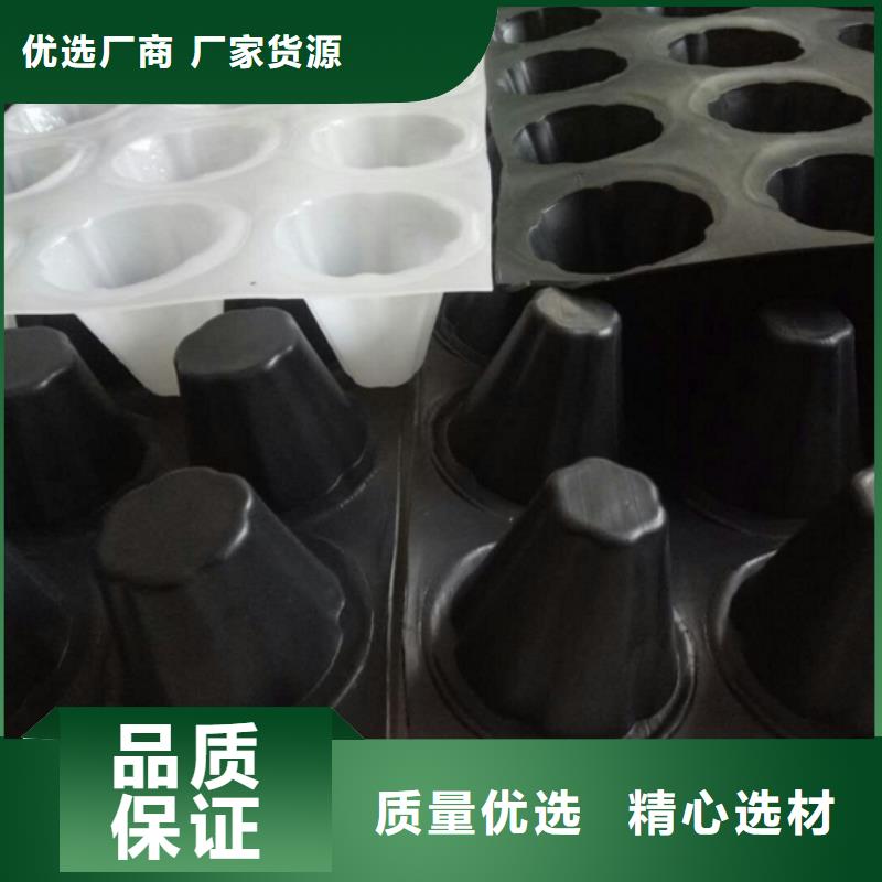 銷售排水板的廠家