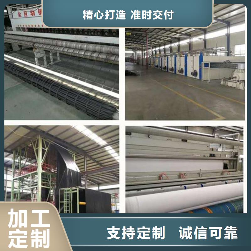 生產鋼塑土工格柵的廠家