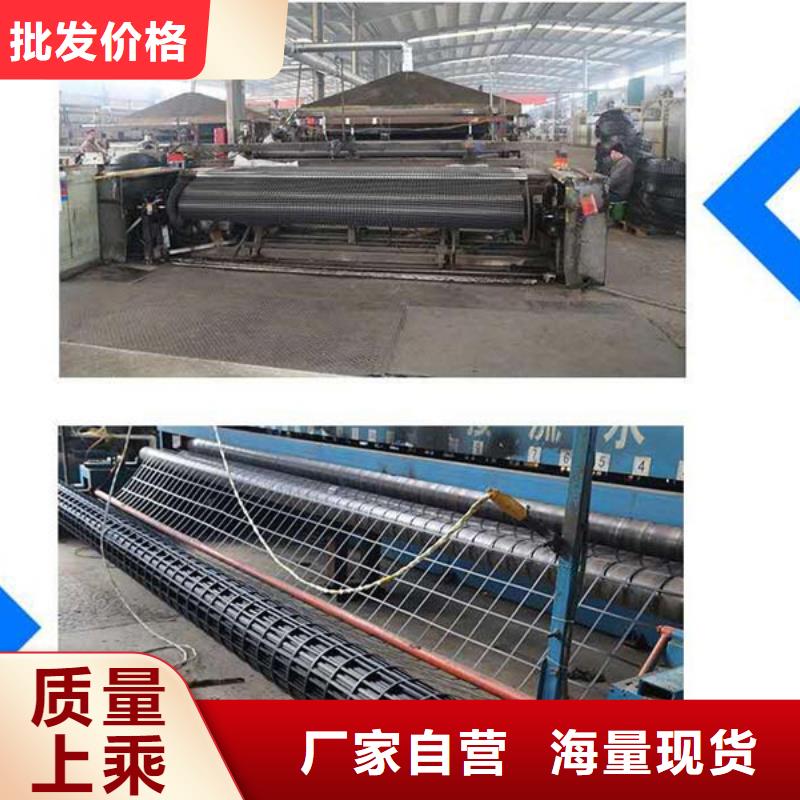 鋼塑土工格柵全國供應