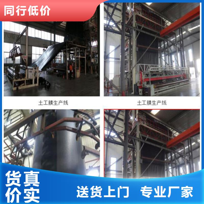 土工膜質量上乘廠家