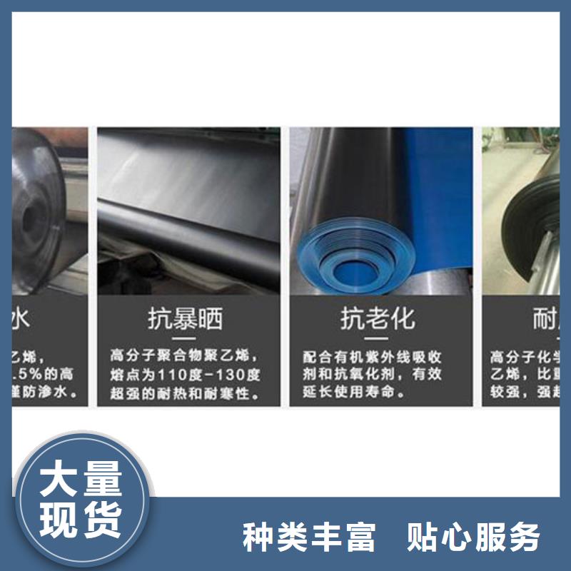 生產土工膜_實力廠家