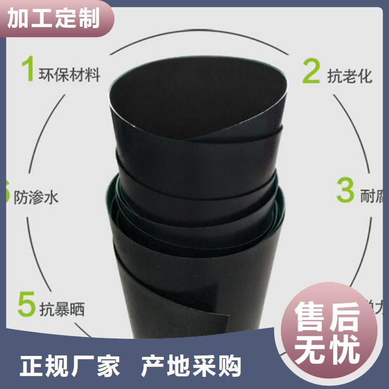 土工膜-供應廠家
