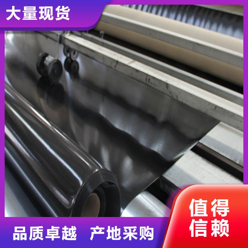 質優(yōu)價廉的土工膜公司