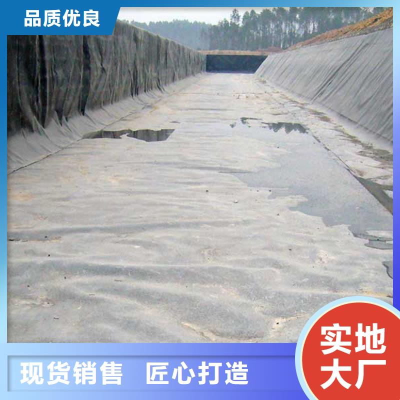 土工膜優質供應商源廠定制