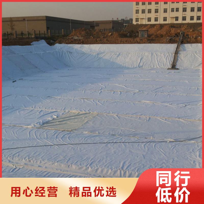 土工膜全國(guó)包郵