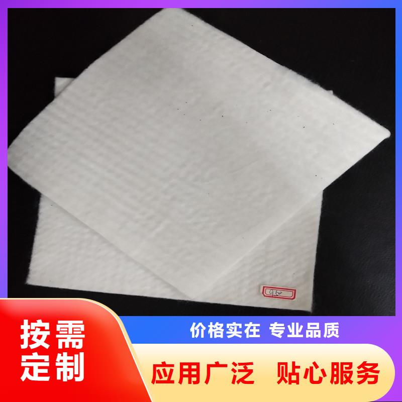 選土工布-實體廠家可定制