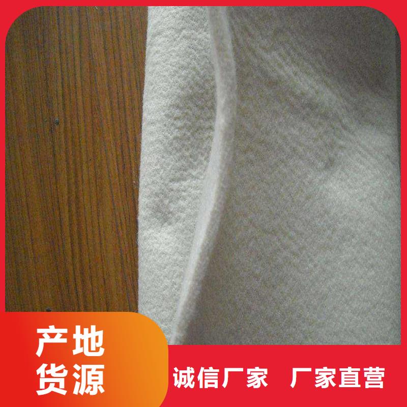土工布-土工布基地