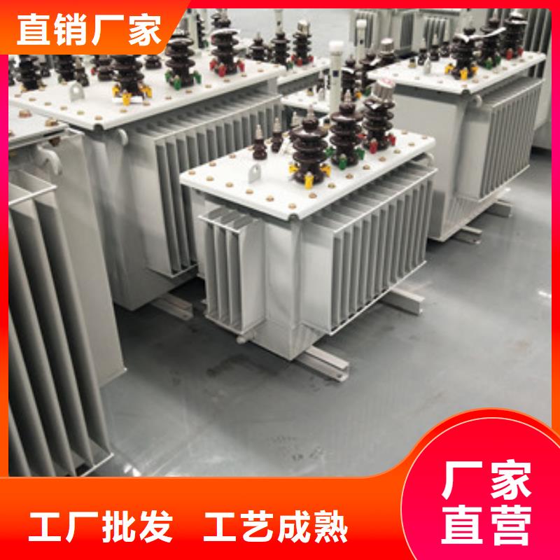 干式變壓器供應(yīng)廠家-變壓器制造廠家