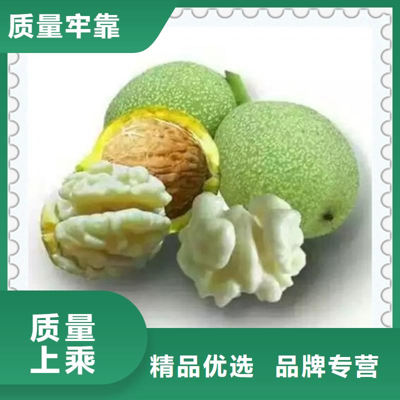 核桃苗品牌:興海苗木種植合作社