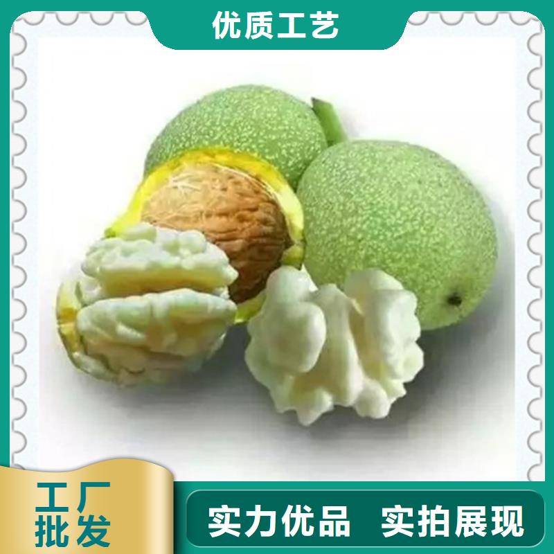 周邊核桃苗供應(yīng)商