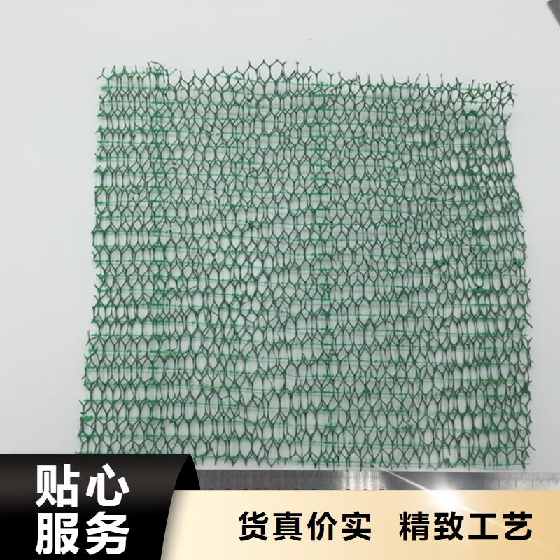 玻纤土工格栅EGA100×100KN供求