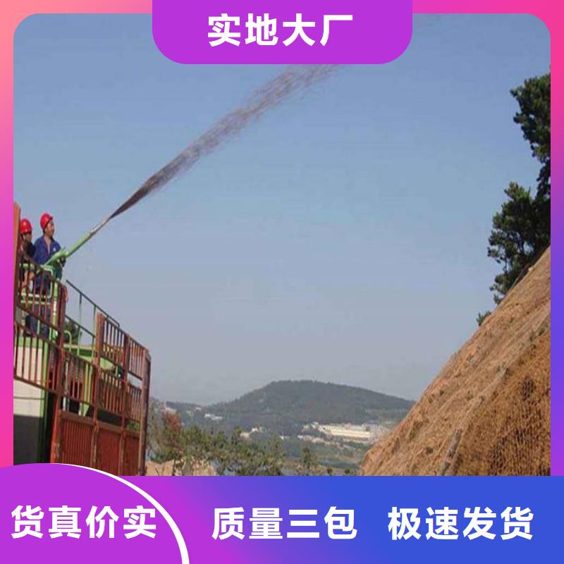 噴播機生產廠家_廠家直銷