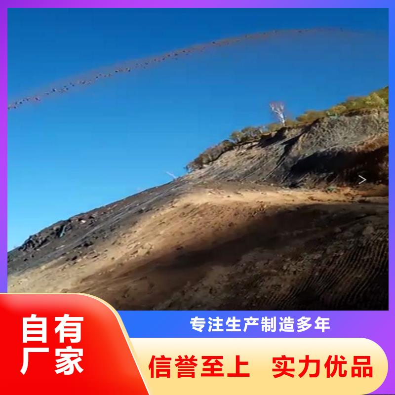 噴播機(jī)經(jīng)久好用