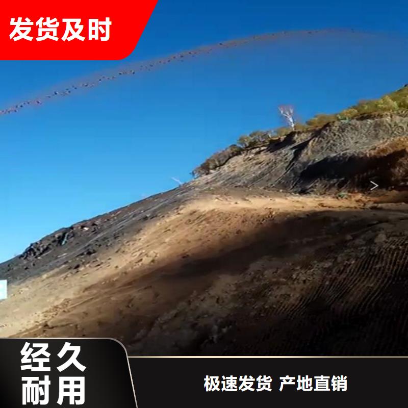噴播機(jī)廠家直供