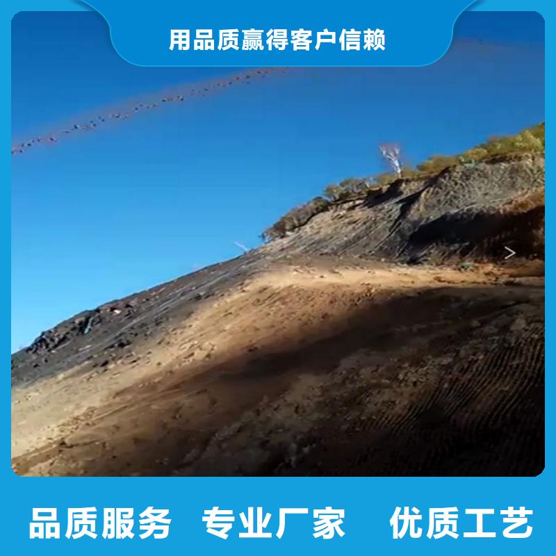 噴播機、噴播機生產廠家-價格合理
