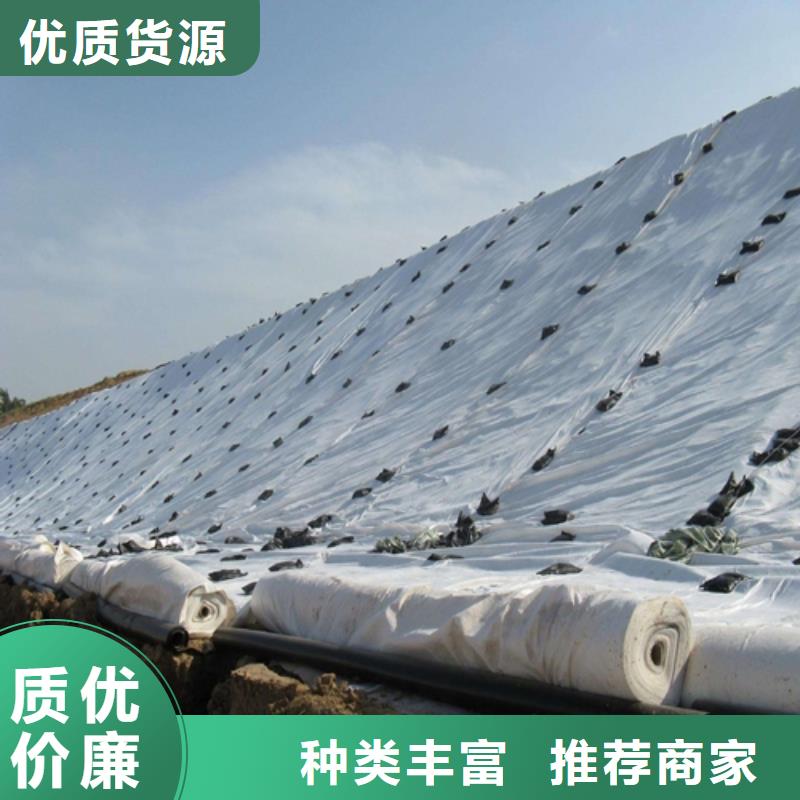 定制土工布的生產廠家用心做品質