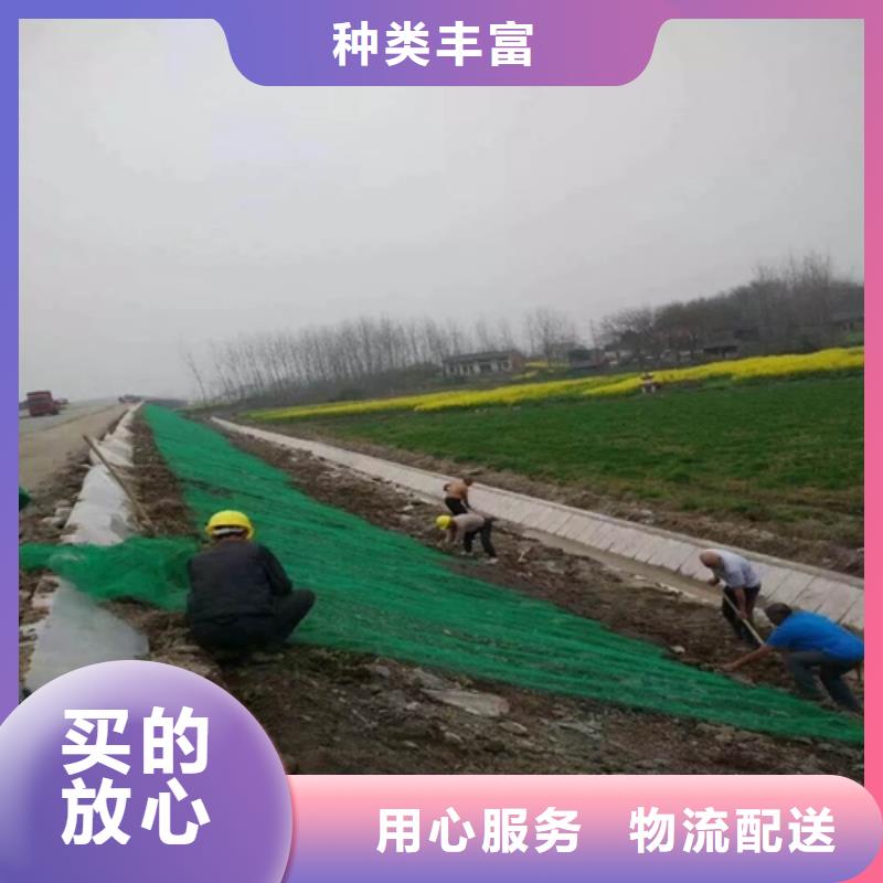 生態(tài)袋+三維網(wǎng)墊廠家資訊