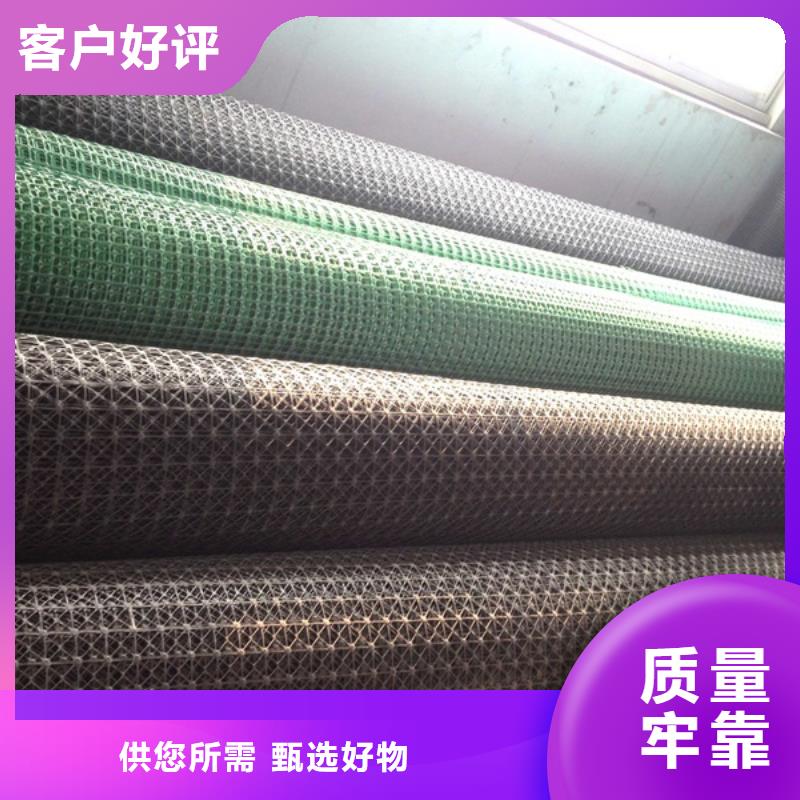省心：土工格柵生產(chǎn)廠家本地廠家