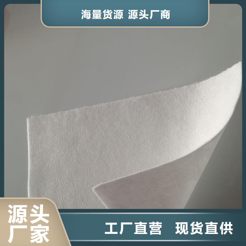 土工布-一心為客戶量大從優(yōu)