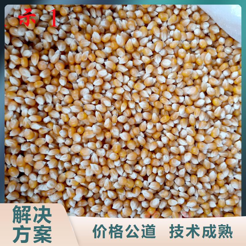 爆米花機廠家
