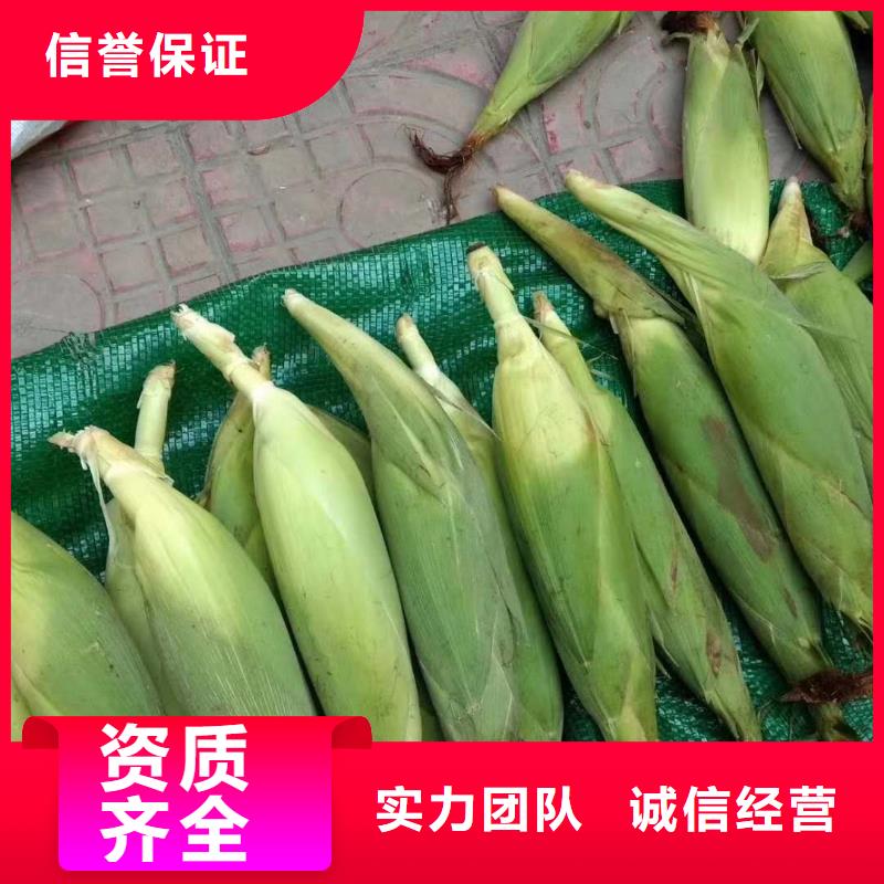 烤紅薯爐-誠信經營