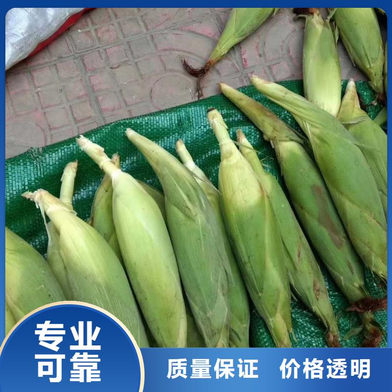 烤紅薯爐源頭工廠好評度高
