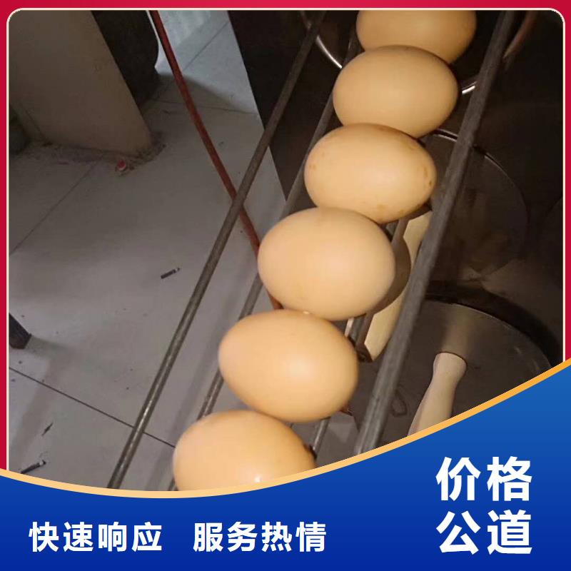 買烤紅薯爐認準大廠家