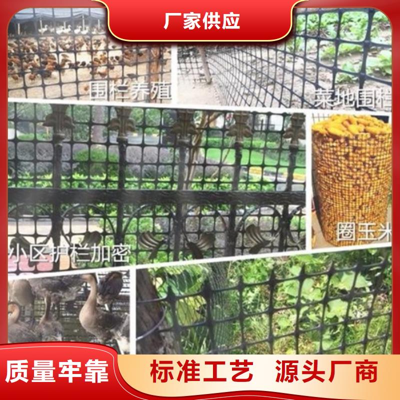 常年供应土工格栅土工格室-现货供应附近供应商