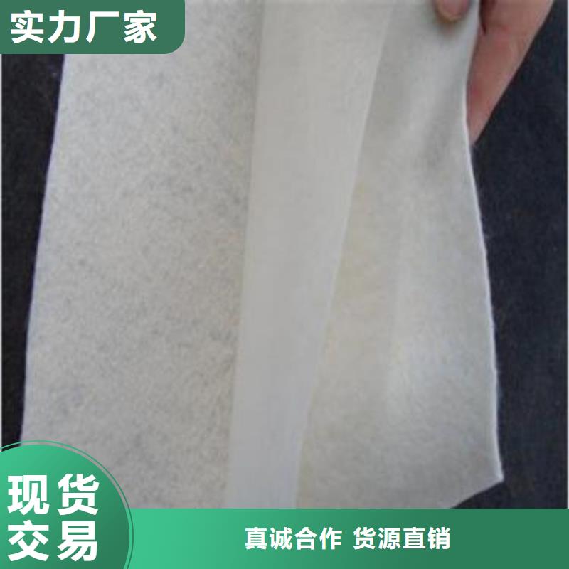土工布系列品種齊全的廠家同行低價(jià)