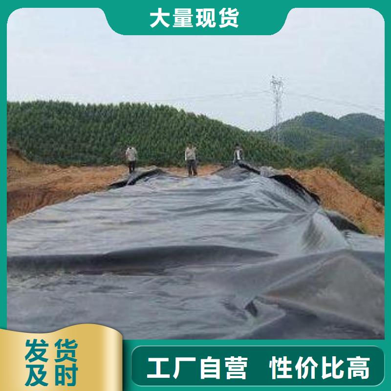 土工膜系列廠家熱線