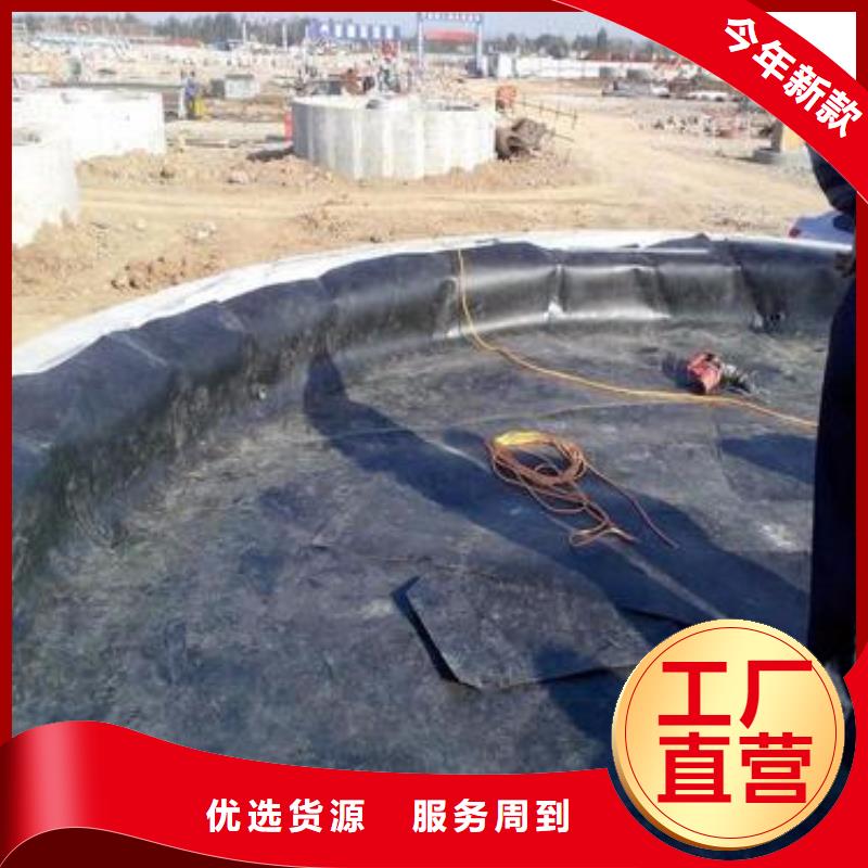 生产土工膜系列的公司