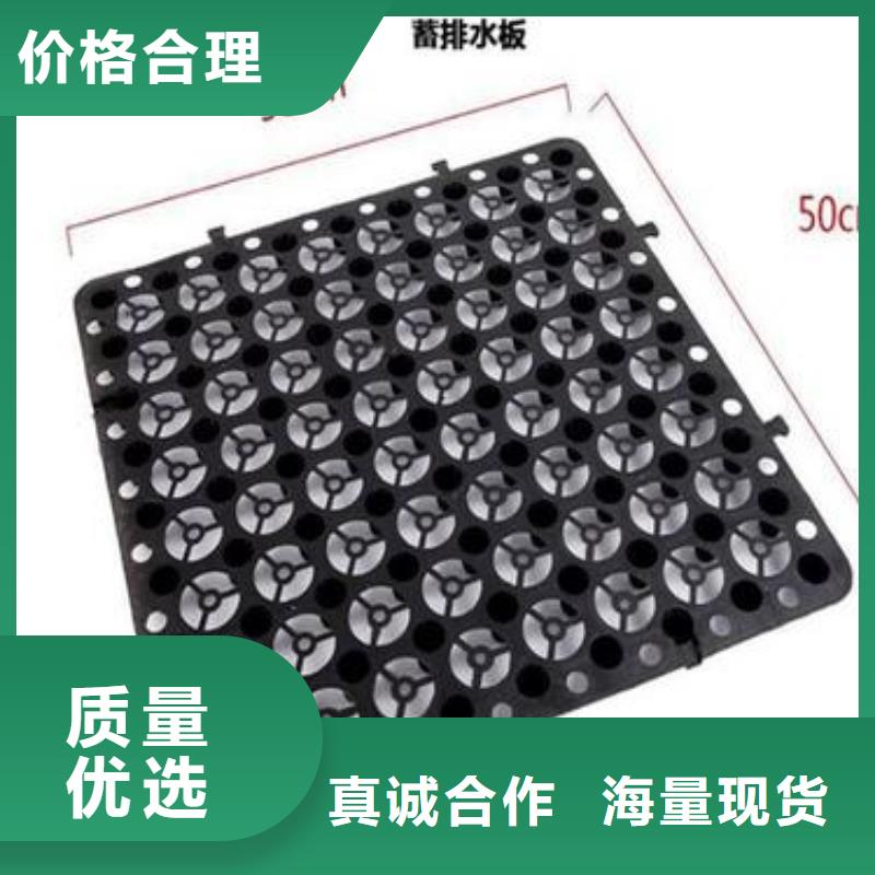 排水板系列現貨直供